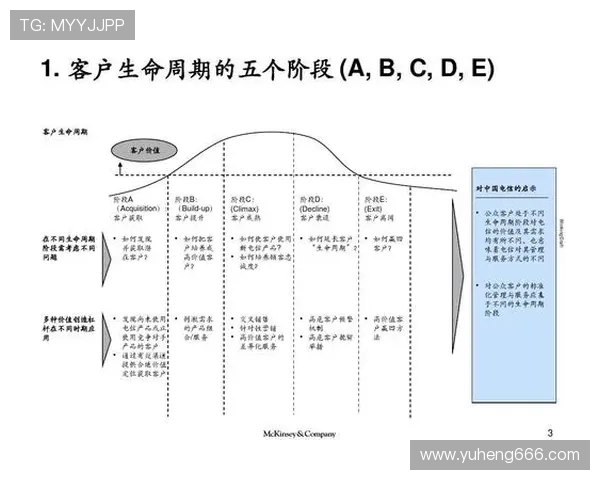 重庆排球队在欧锦赛中的团队协作表现分析与启示